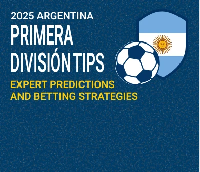 Expert Predictions and Betting Strategies